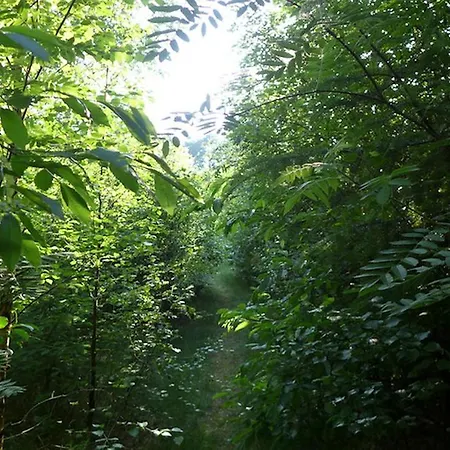 *koggenhues* * Norddorf