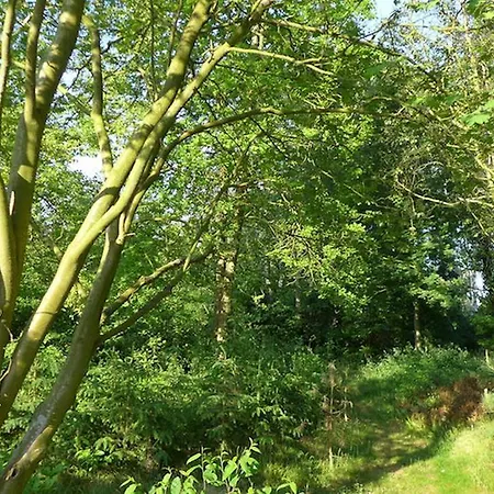 *koggenhues* Feriehus *