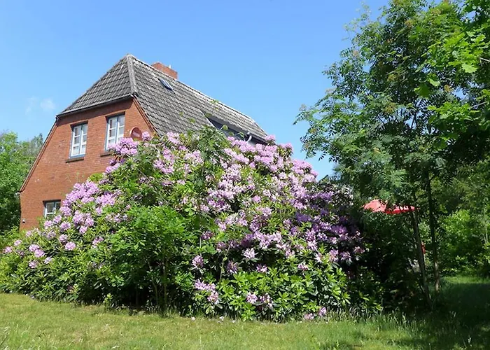 Vakantiehuis *koggenhues* *